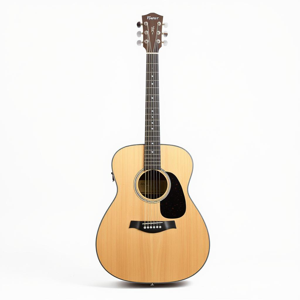Folk Guitare J45